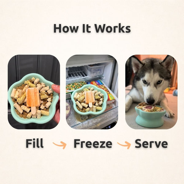 Freezflower Cup - Frozen Treat Cup for Calm, Happy Dogs