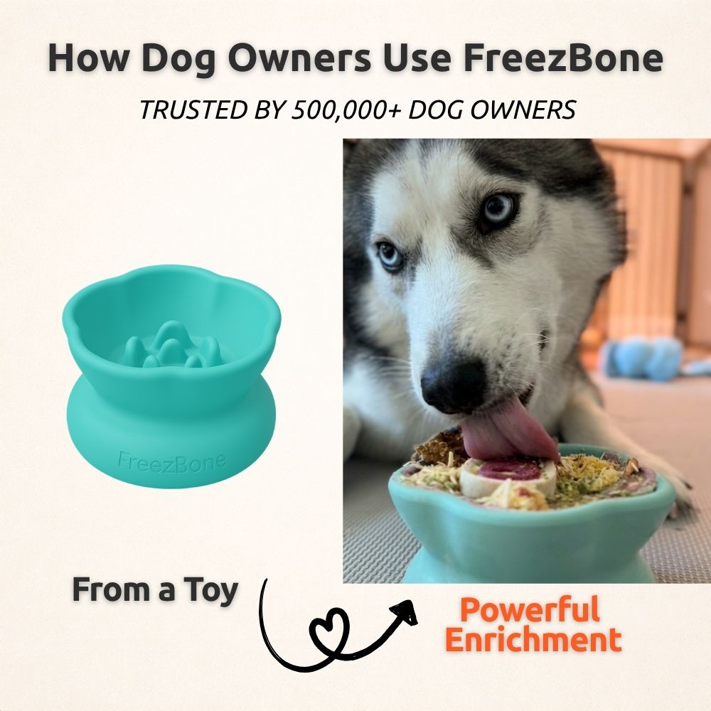 Freezflower Cup - Frozen Treat Cup for Calm, Happy Dogs