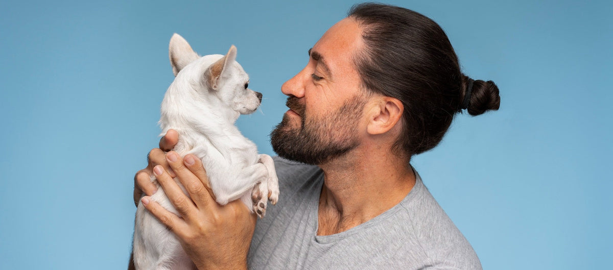 First-time dog dad: the practical guide to life with your first dog