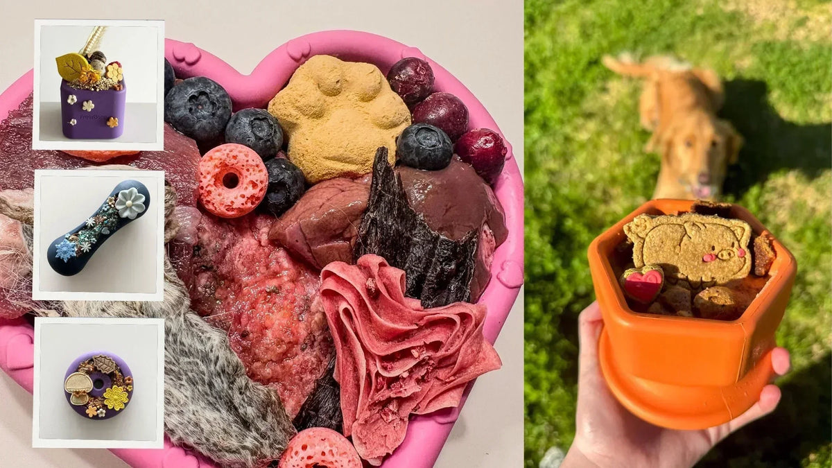 5 frozen summer treats for dogs: easy recipes for hot European days