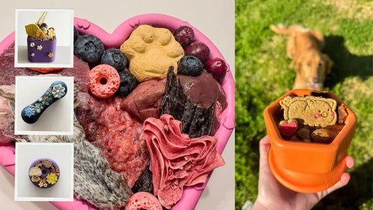5 Summer Treats Your Dog Will Love