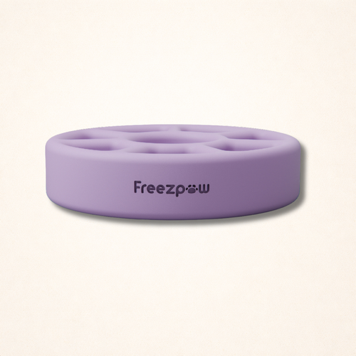 FreezSpin Cat Durable Interactive