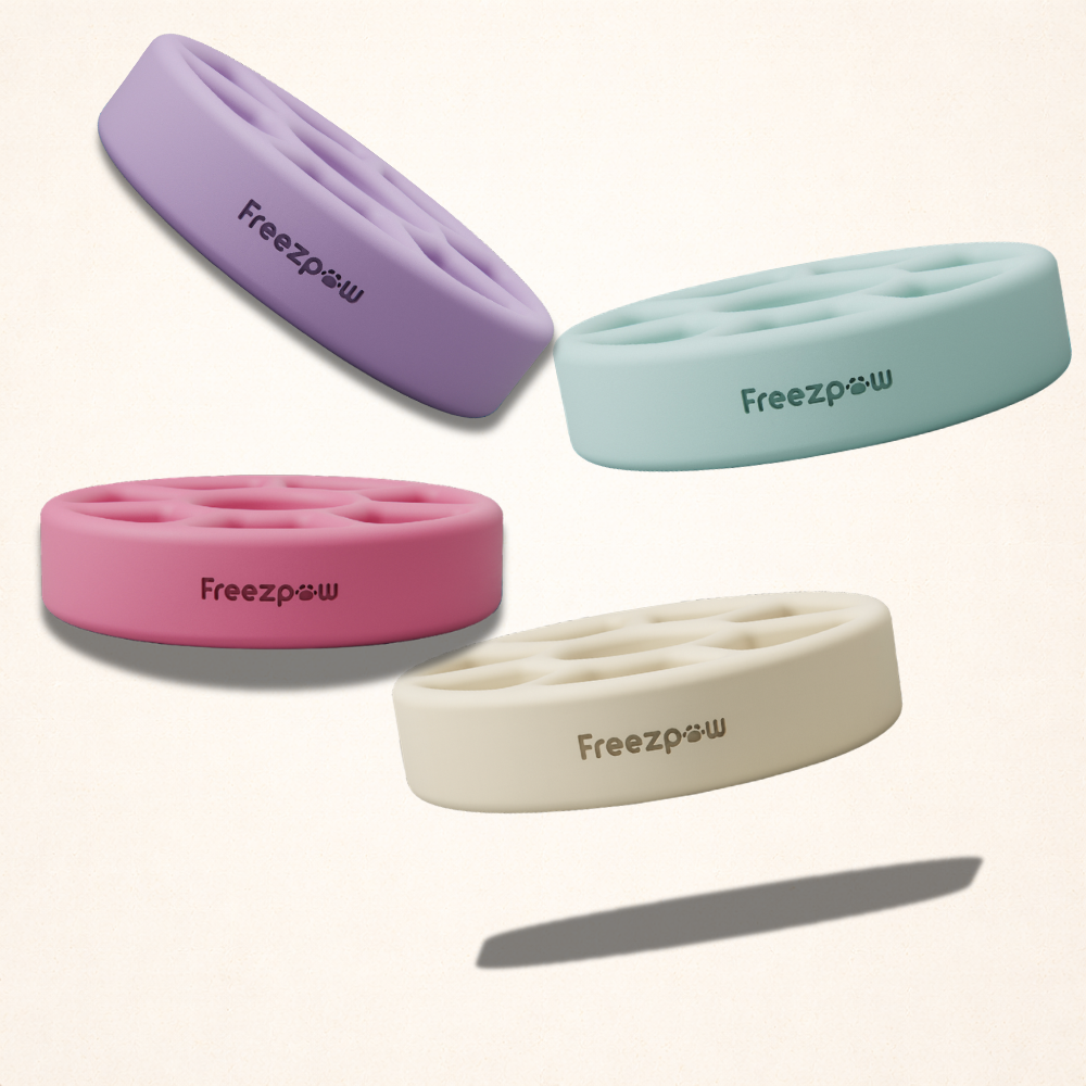 FreezSpin Cat Durable Interactive