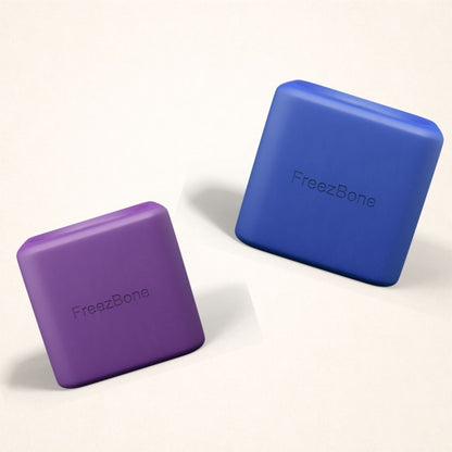 Freezbox - Super Tough Treat Toy