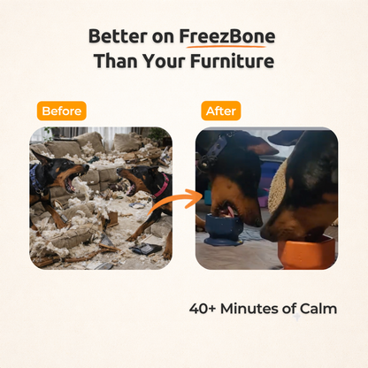 FreezCup - Long-Lasting Chew Fun