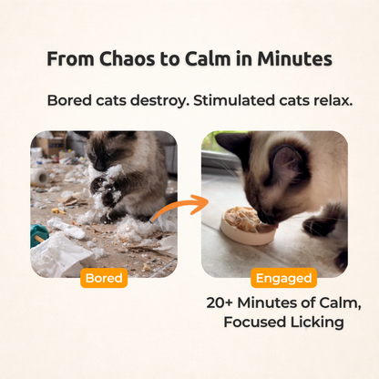 FreezSpin Cat Durable Interactive