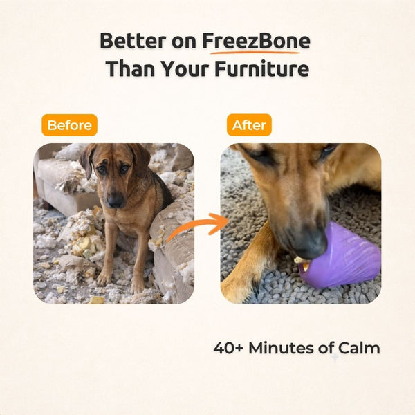 FreezCone – L'enrichissement en forme de glace que les chiens ne peuvent plus lâcher