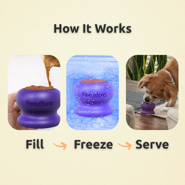 Pack de démarrage FreezBall