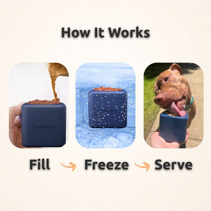 Freezbox - Super Tough Treat Toy