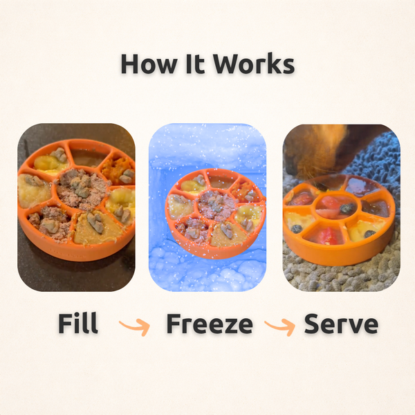 FreezWheel - Jouet à mâcher interactif durable