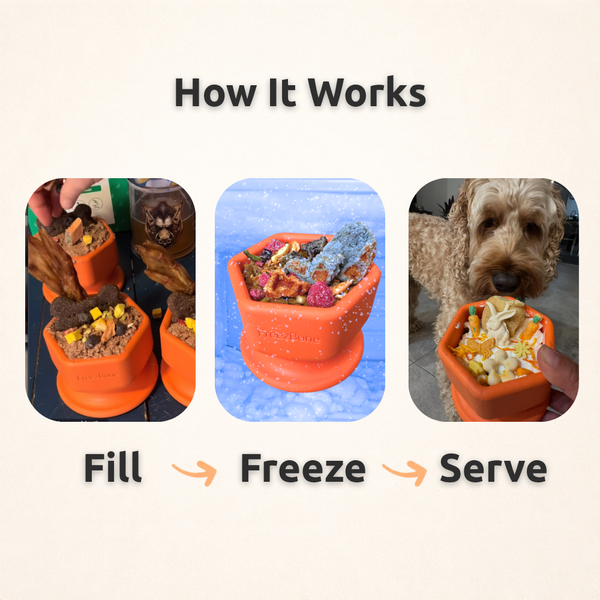 FreezCup - Plaisir de Mastication Durable