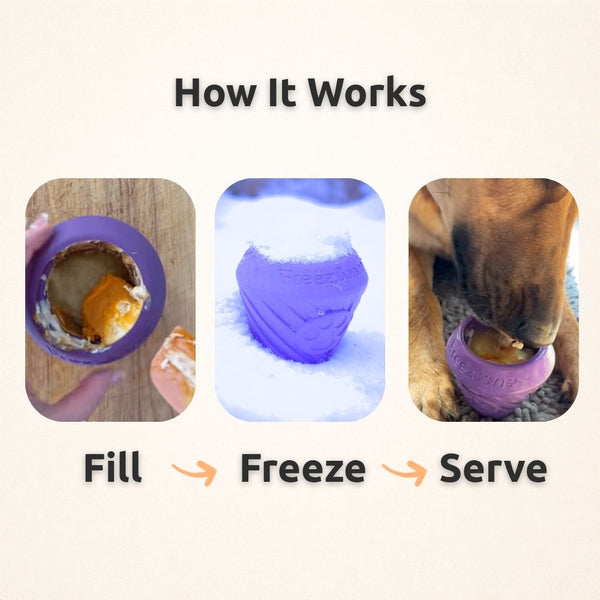 FreezCone – L'enrichissement en forme de glace que les chiens ne peuvent plus lâcher