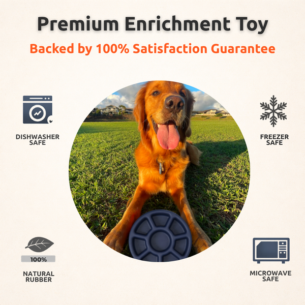 FreezWheel - Jouet à mâcher interactif durable