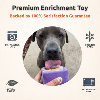 Freezbox - Super Tough Treat Toy