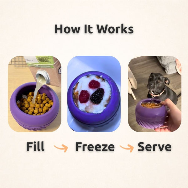 FreezJumbo™ – Notre jouet d'enrichissement le plus grand et le plus robuste jamais conçu