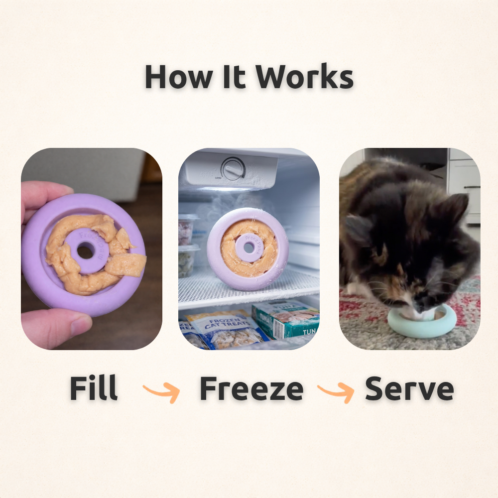 Freezring Cat Zen Relief Toy