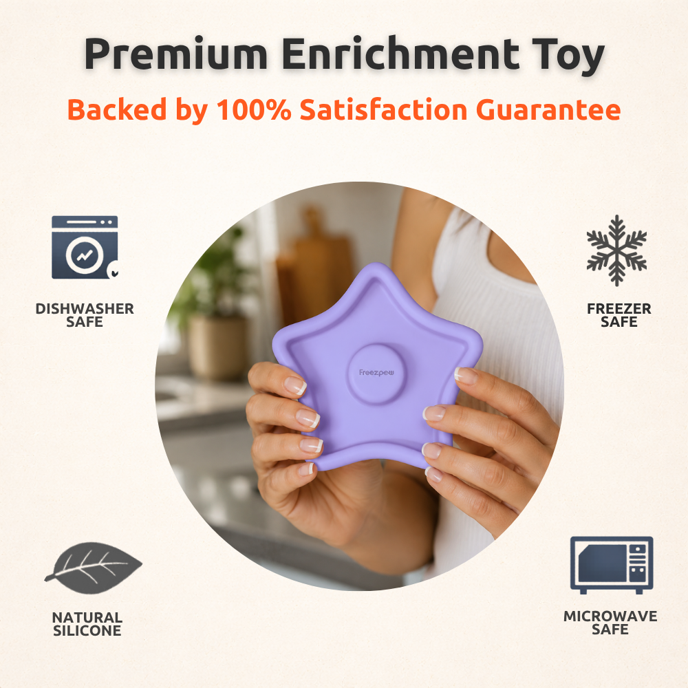 FreezTwinkle Cat Spark Play Toy