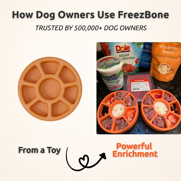 FreezWheel - Jouet à mâcher interactif durable