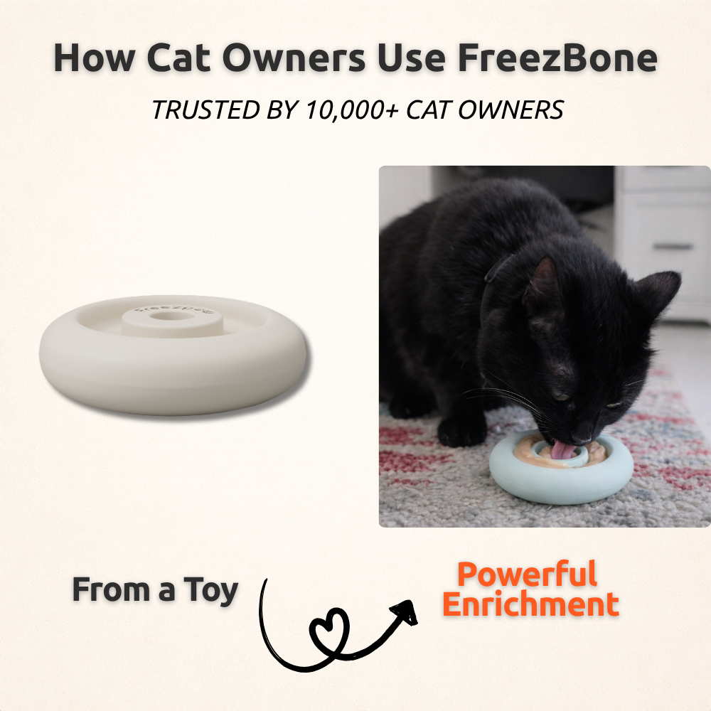 Freezring Cat Zen Relief Toy