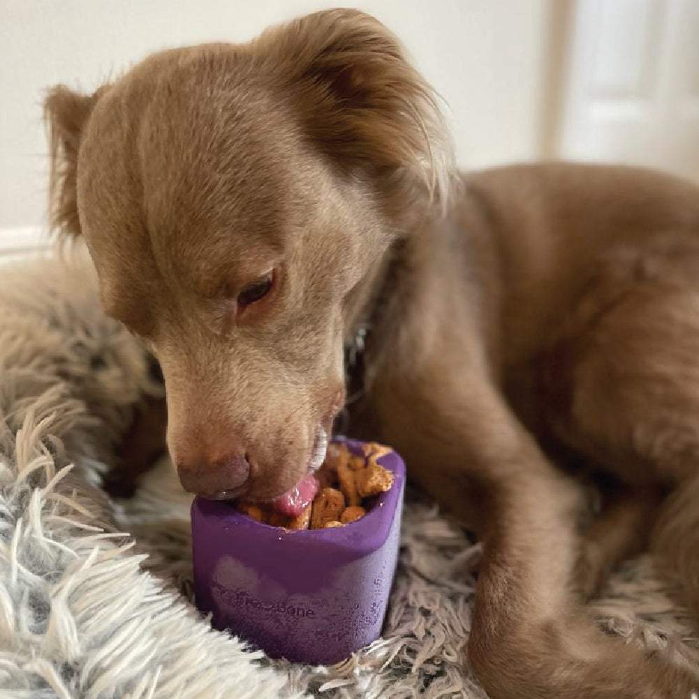 Tough Chewer & Calm Bundle