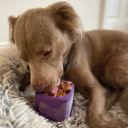 Tough Chewer & Calm Bundle