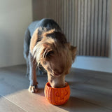 Pumpkin Yogurt