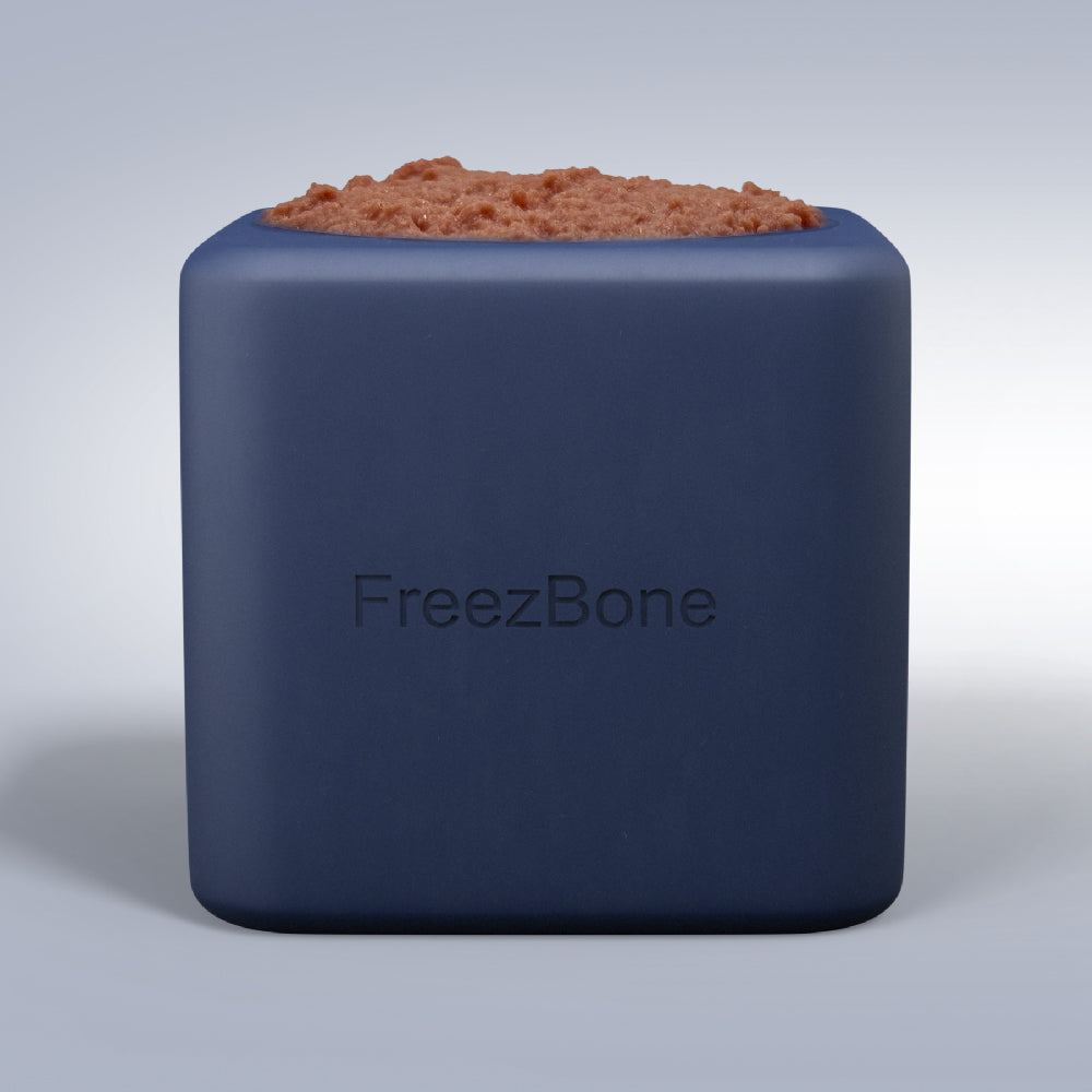 Freezbox - Super Tough Treat Toy