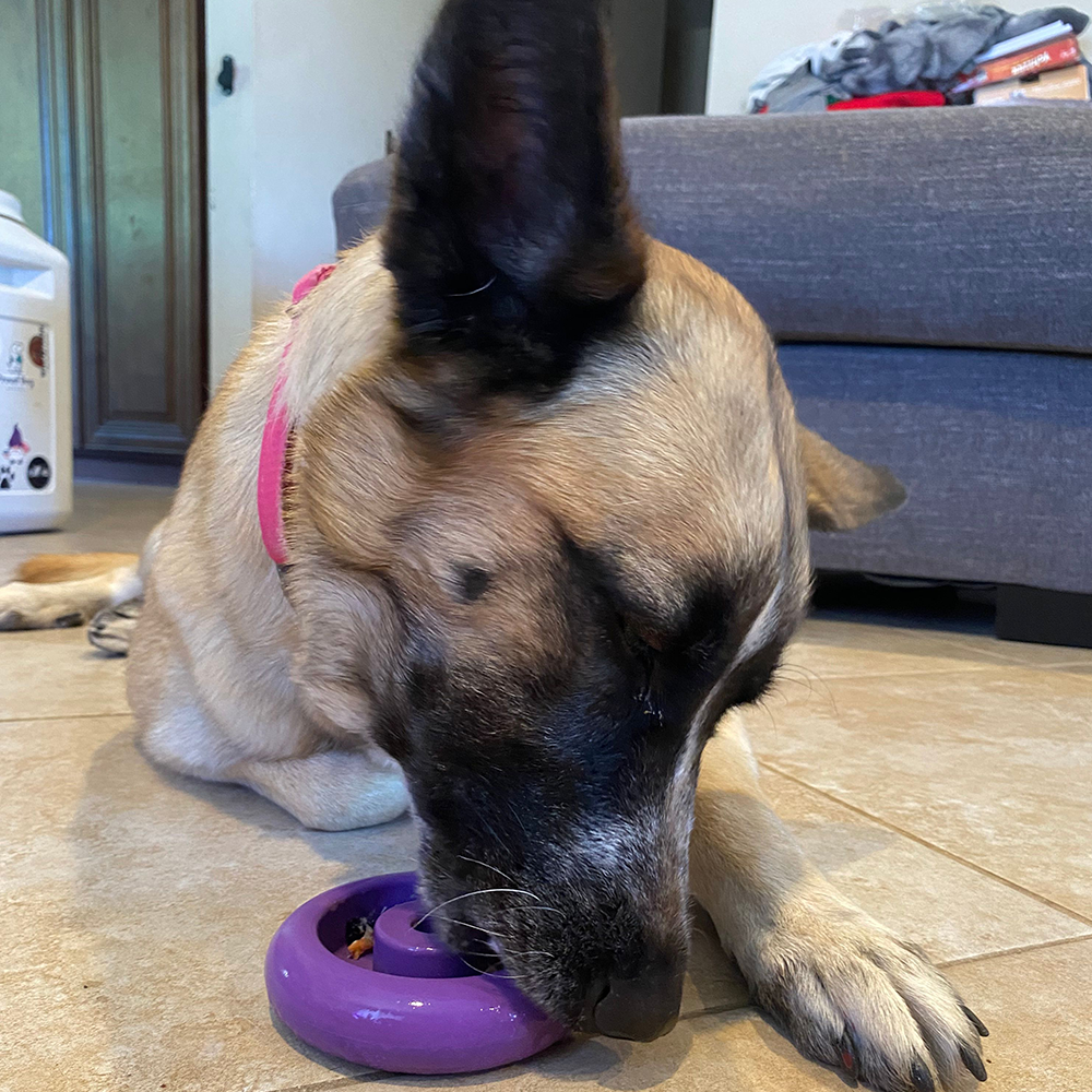 Freez Doughnut - Super Durable Treat Toy